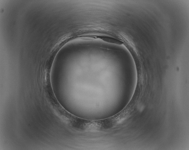 X0000083620115200702121150