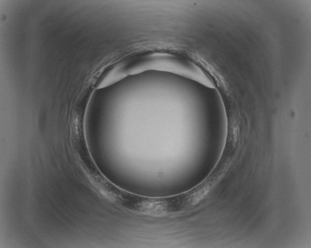 X0000083620117200702121150