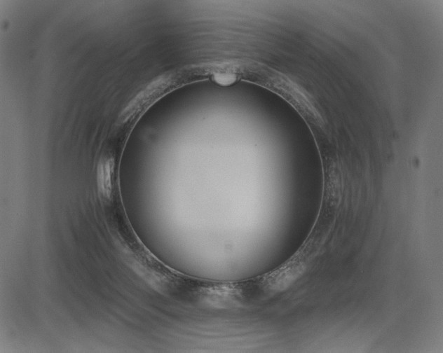 X0000083620118200702121150
