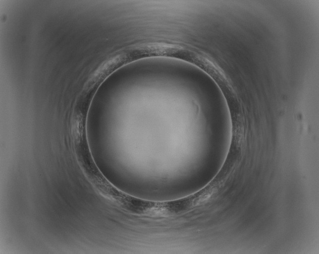 X0000083620119200702121150