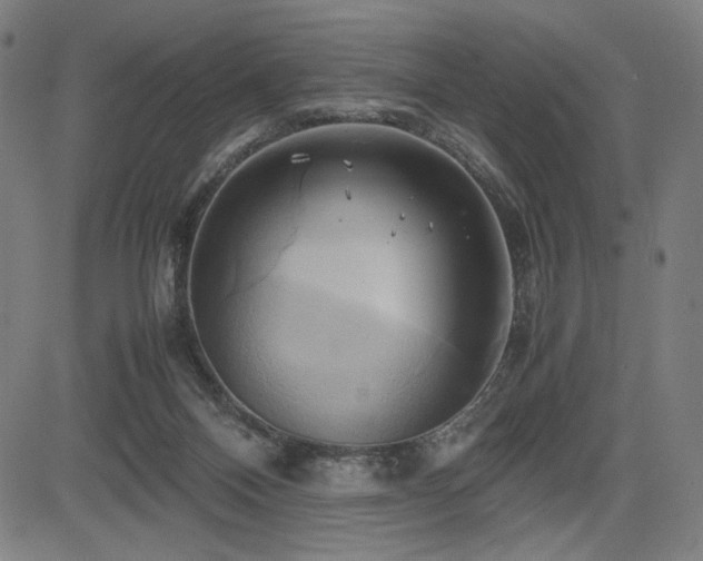 X0000083620120200702121150