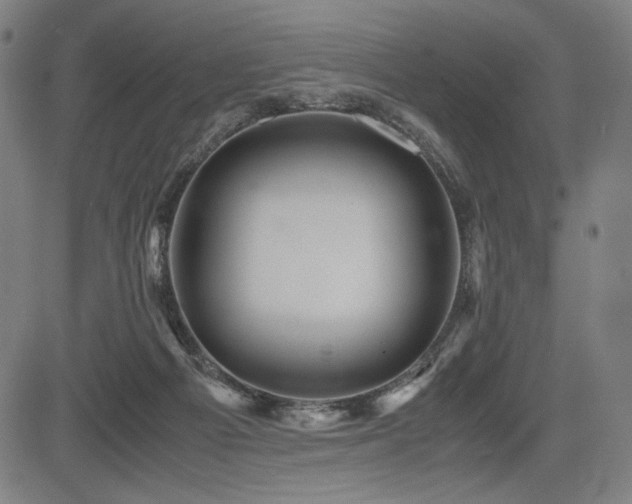 X0000083620121200702121150