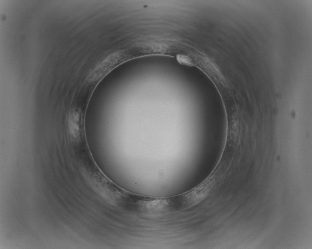 X0000083620122200702121150