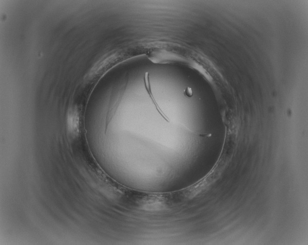 X0000083620124200702121150