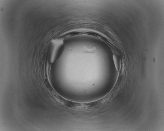 X0000083620125200702121150