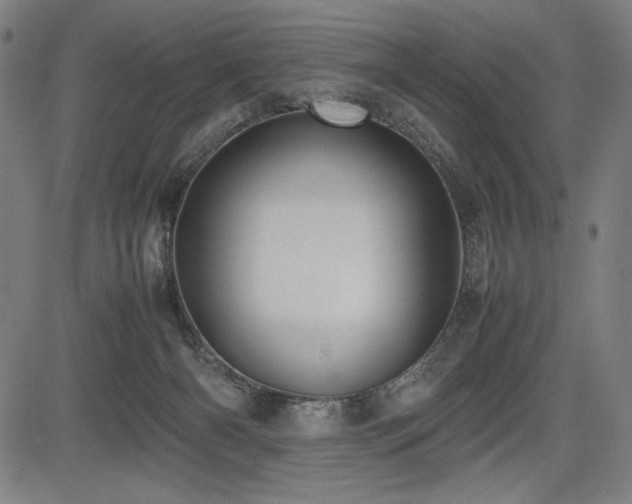 X0000083620126200702121150