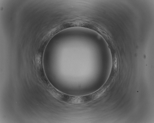 X0000083620127200702121150