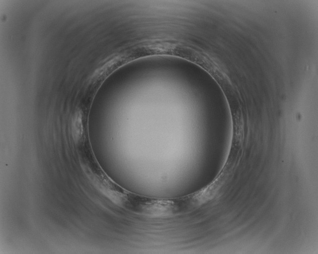 X0000083620128200702121150