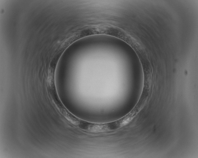 X0000083620129200702121150