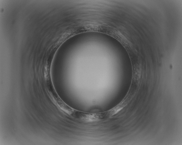 X0000083620130200702121150