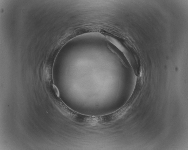 X0000083620131200702121150