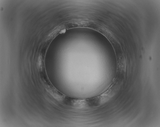 X0000083620132200702121150