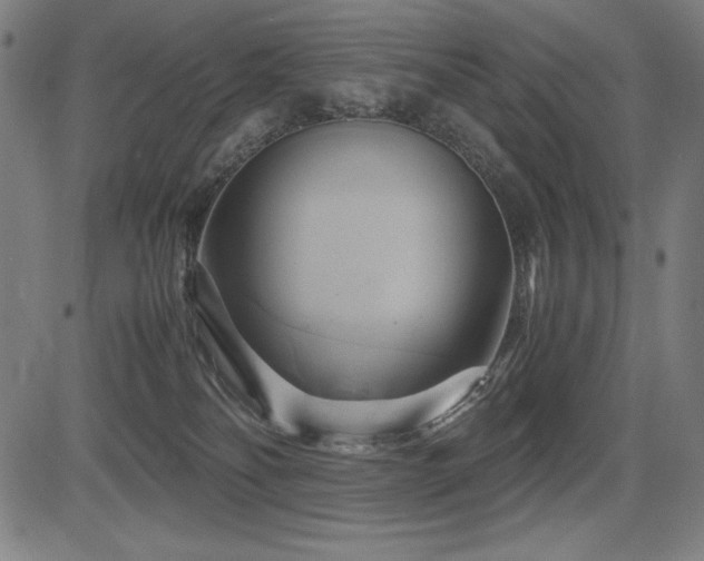 X0000083620134200702121150