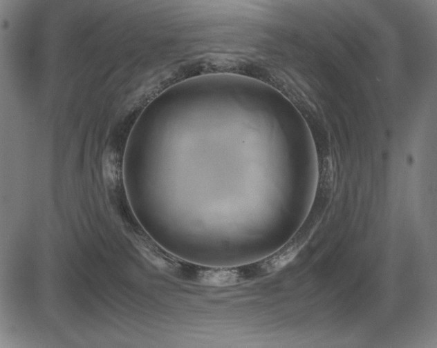 X0000083620135200702121150