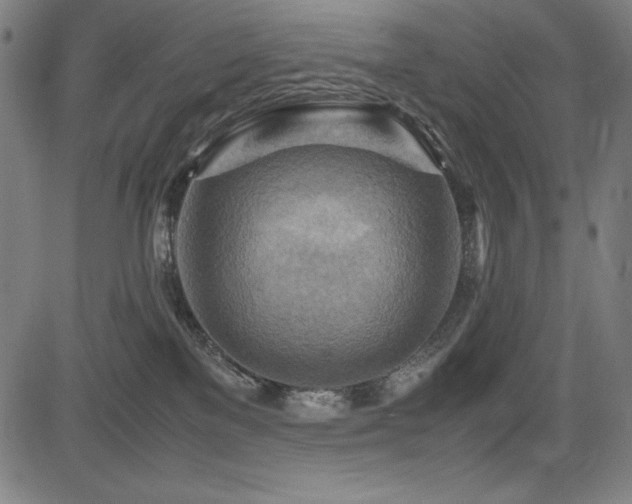 X0000083620137200702121150