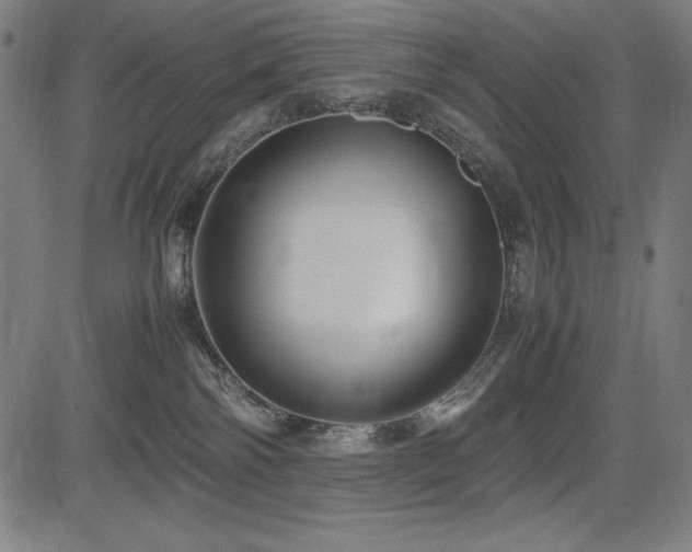 X0000083620138200702121150