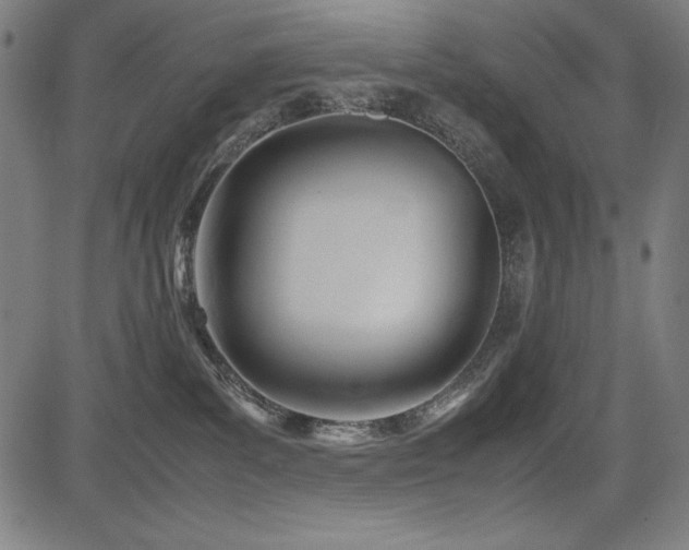 X0000083620139200702121150