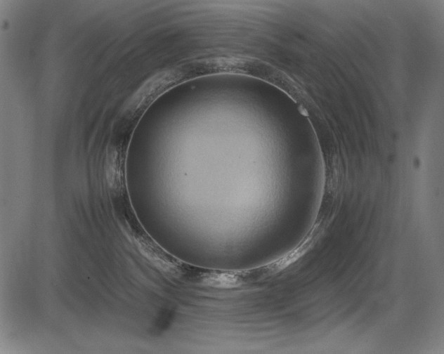X0000083620140200702121150
