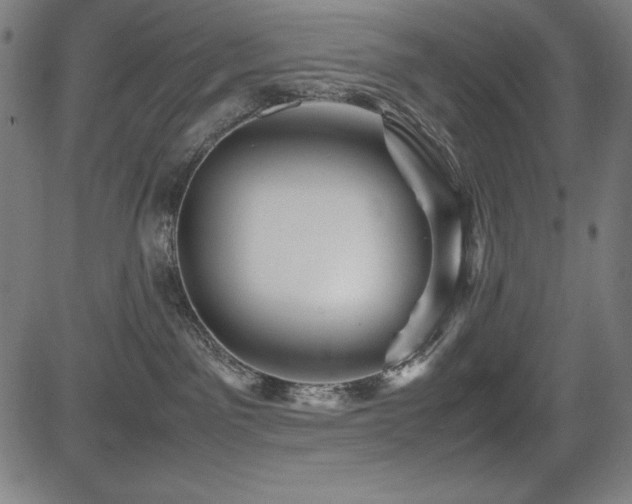 X0000083620141200702121150