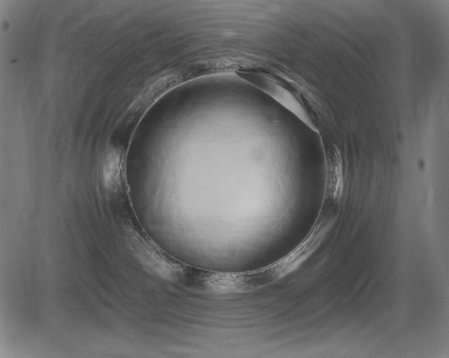 X0000083620142200702121150