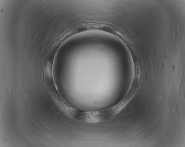X0000083620143200702121150