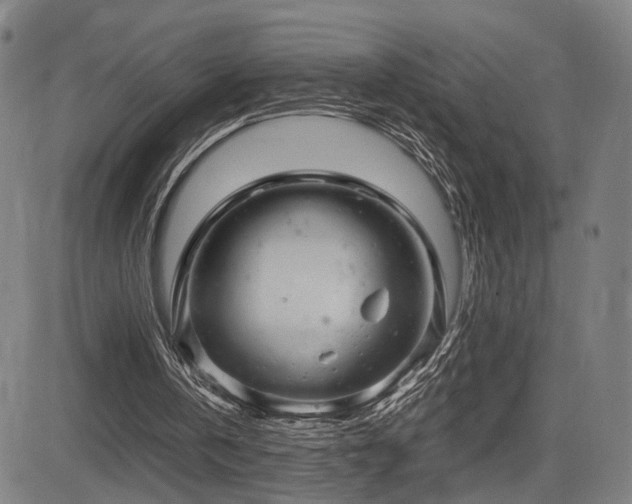 X0000083620146200702121149