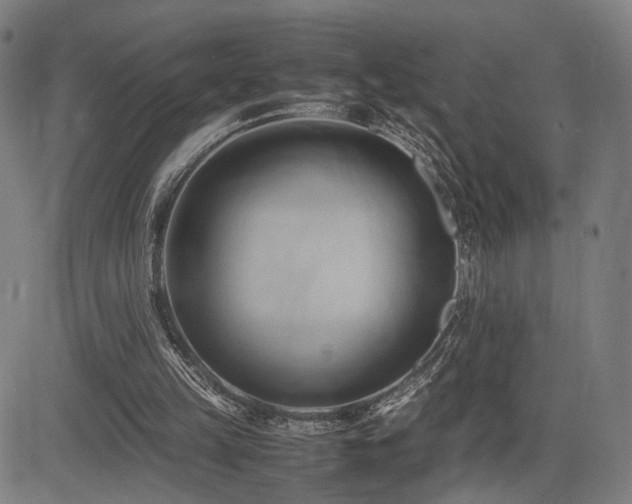 X0000083620149200702121149