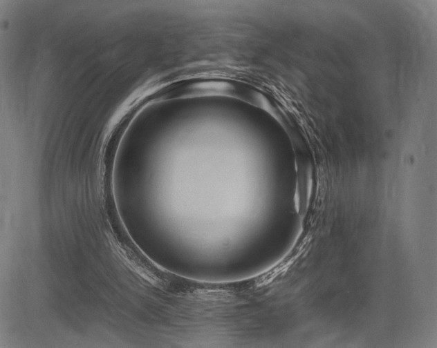 X0000083620150200702121149