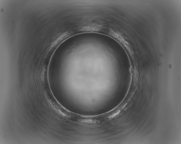 X0000083620153200702121149