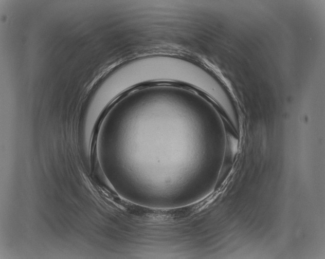X0000083620154200702121149