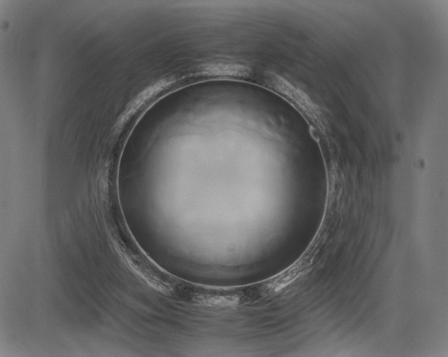 X0000083620155200702121149