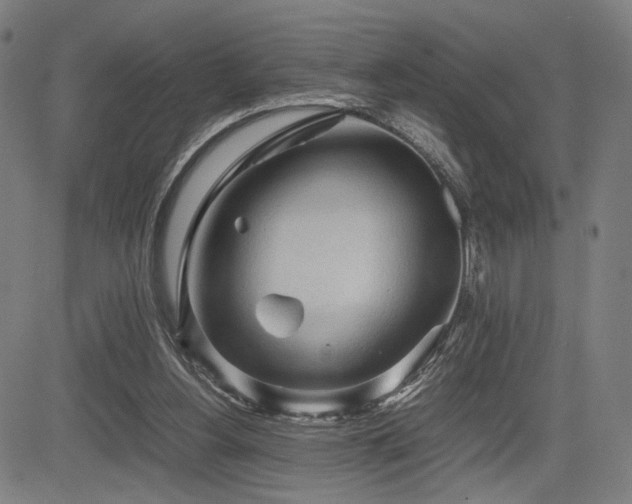 X0000083620156200702121149