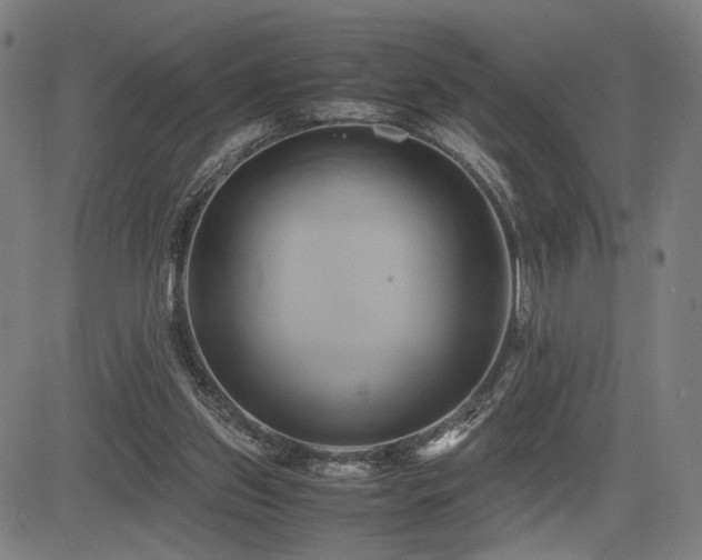 X0000083620157200702121149