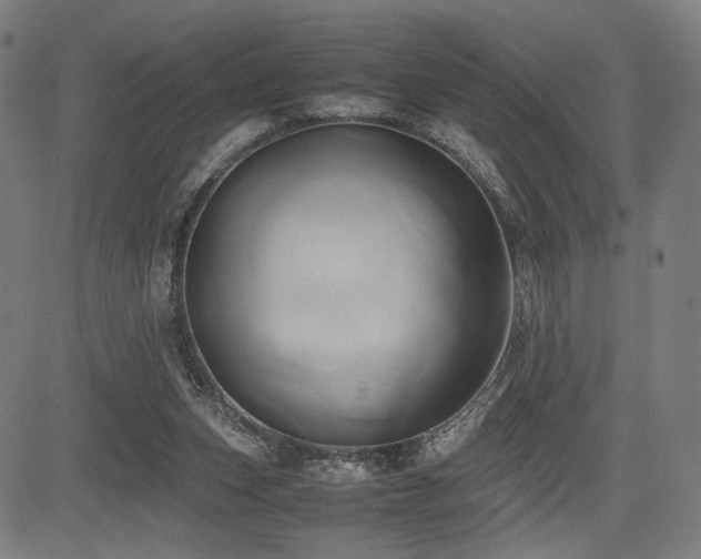 X0000083620159200702121149