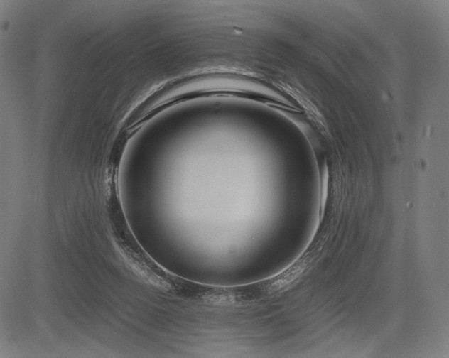X0000083620160200702121149