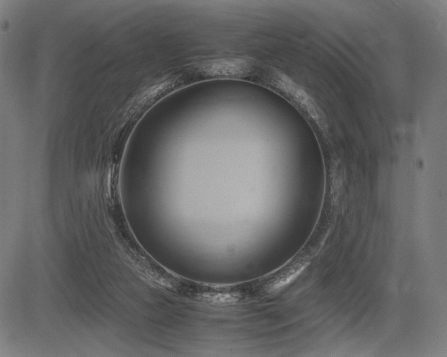 X0000083620161200702121149