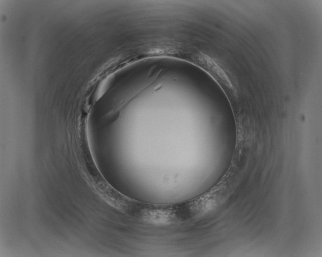 X0000083620163200702121149