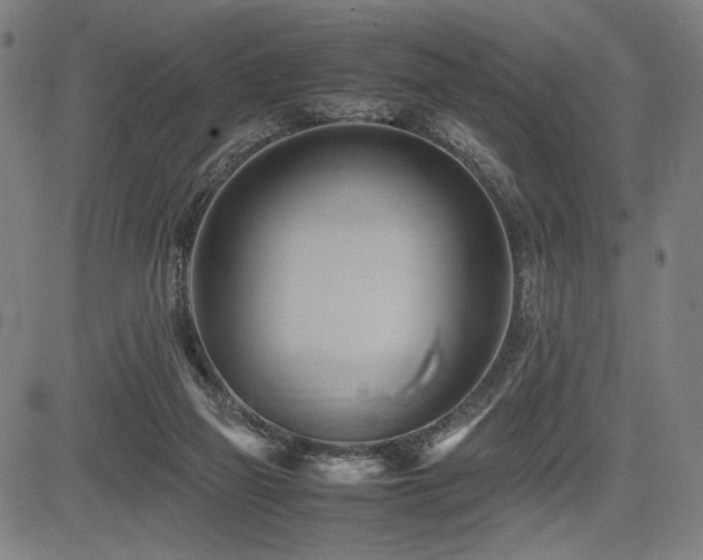X0000083620165200702121149