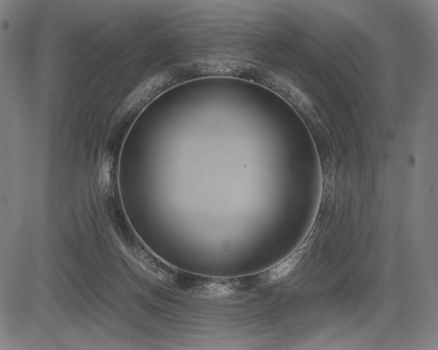 X0000083620166200702121149