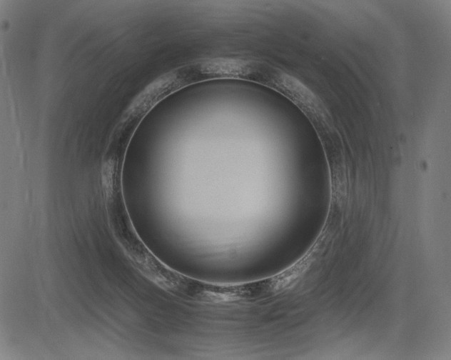 X0000083620167200702121149