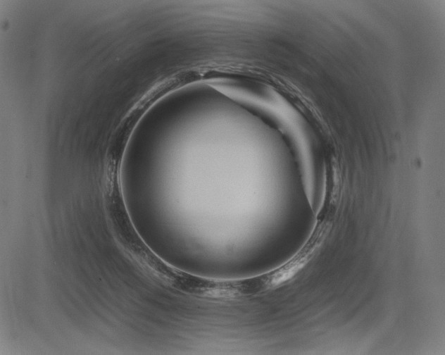 X0000083620168200702121149