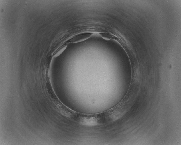 X0000083620169200702121149