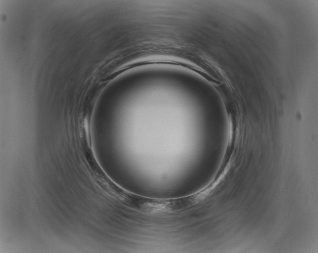 X0000083620170200702121149