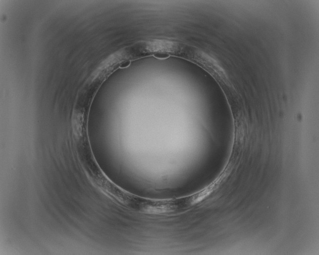X0000083620171200702121149