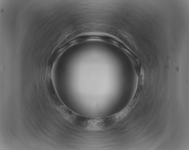 X0000083620172200702121149