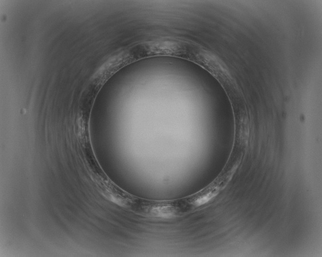 X0000083620173200702121149