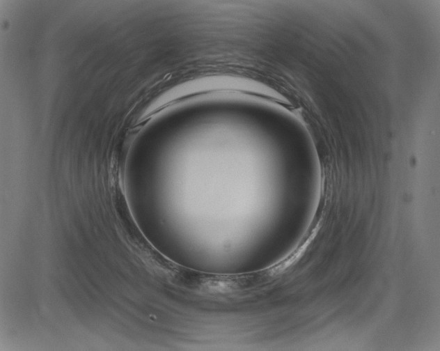 X0000083620174200702121149