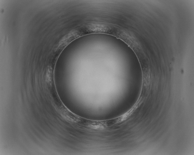 X0000083620175200702121149