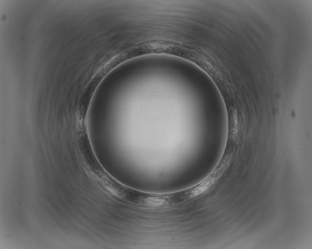 X0000083620176200702121149