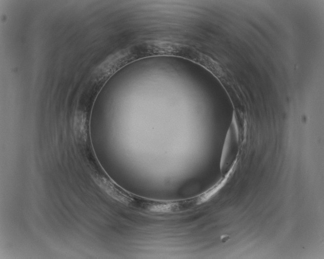 X0000083620178200702121149